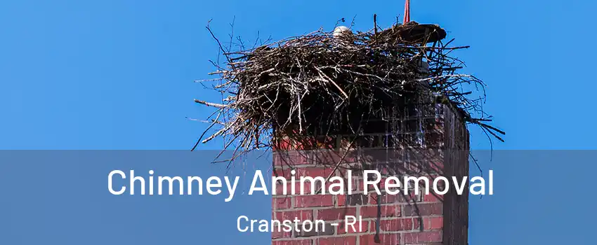 Chimney Animal Removal Cranston - RI