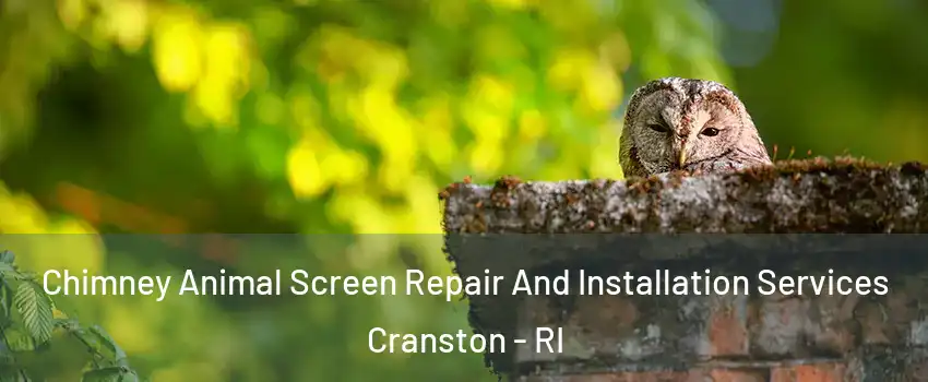  Chimney Animal Screen Repair And Installation Services Cranston - RI