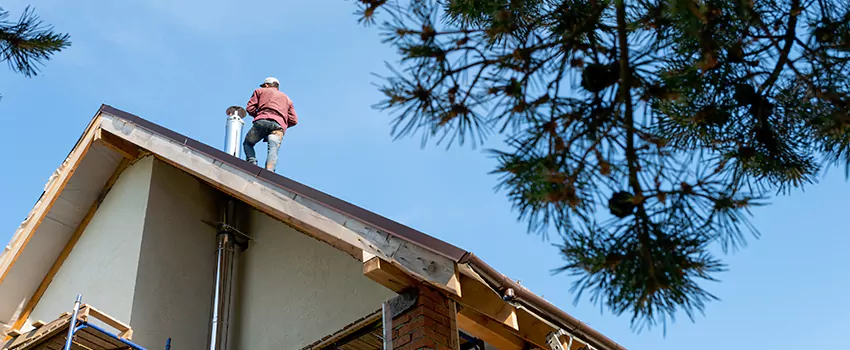 Birds Removal Contractors from Chimney in Cranston, RI