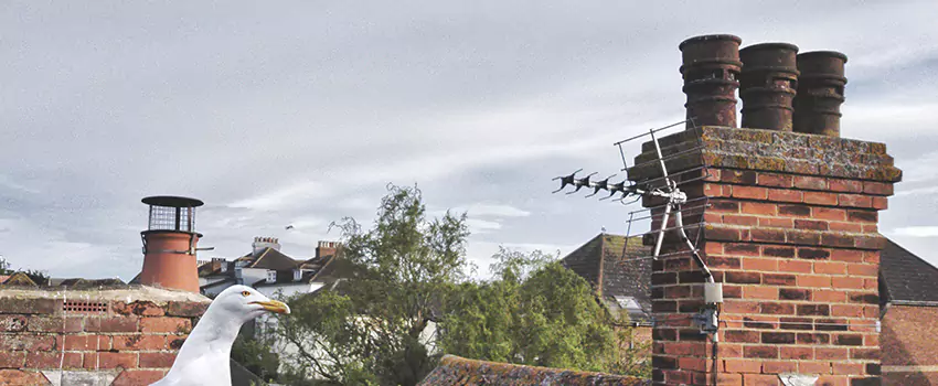 Chimney Cleaning And Restoration in Cranston, Rhode Island